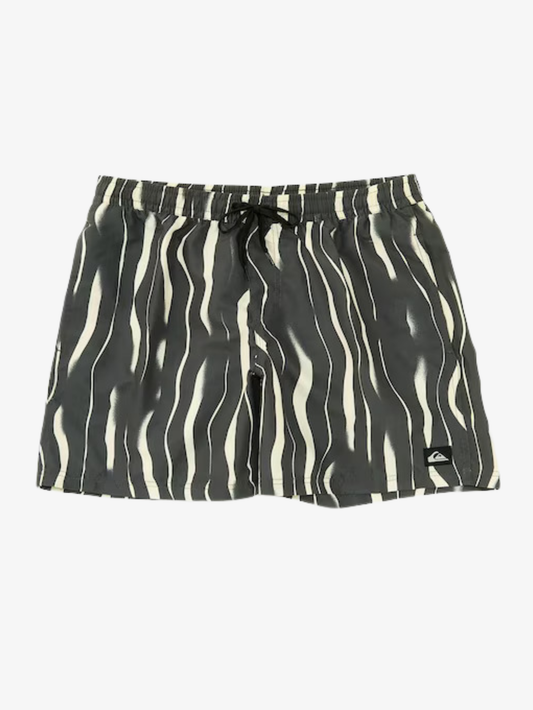 Mens Everyday Straight Volley 17" Swim Shorts - Quiksilver Singapore