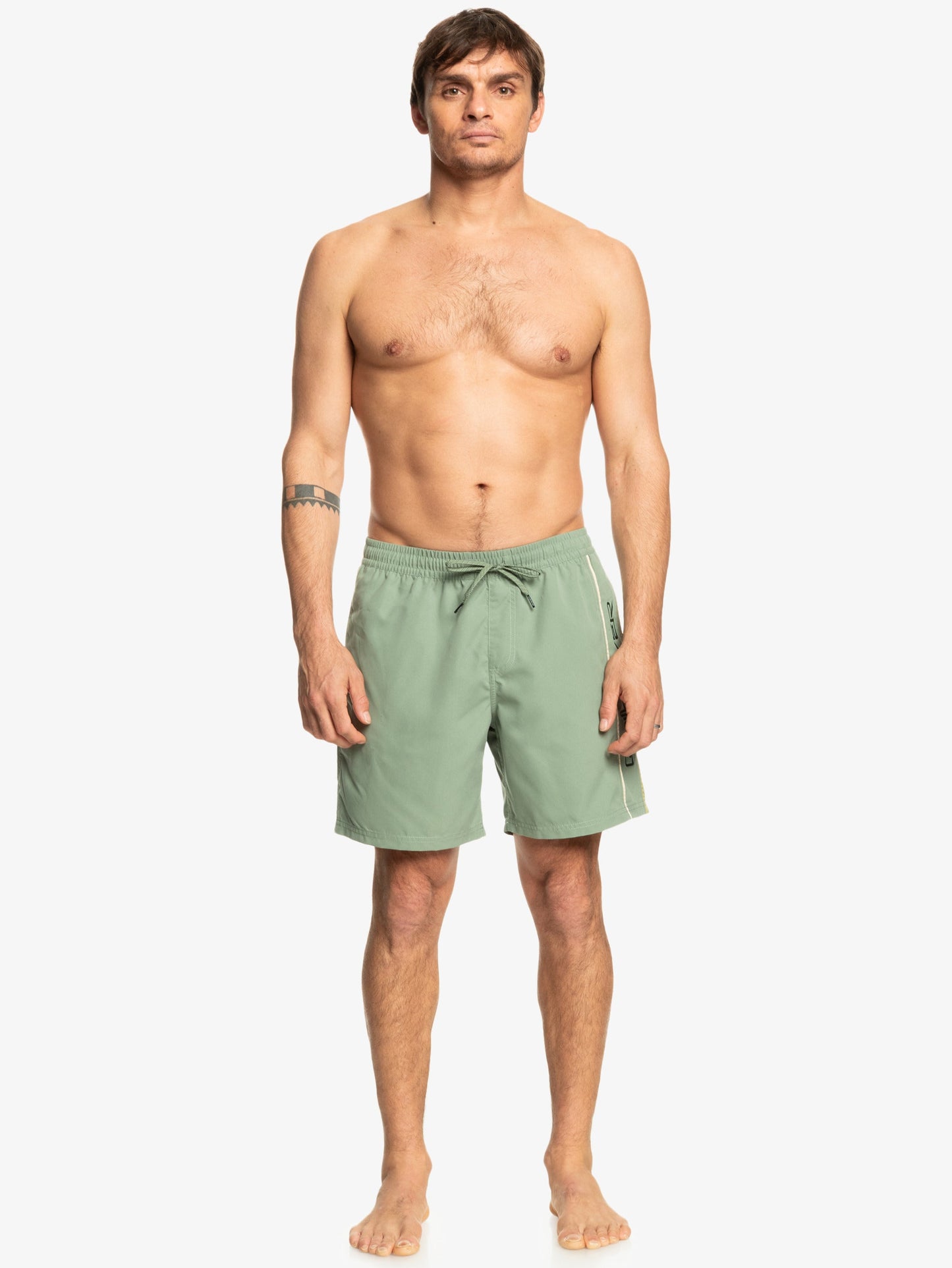 Mens Everyday Vert Volley 17" Swim Shorts - Quiksilver Singapore