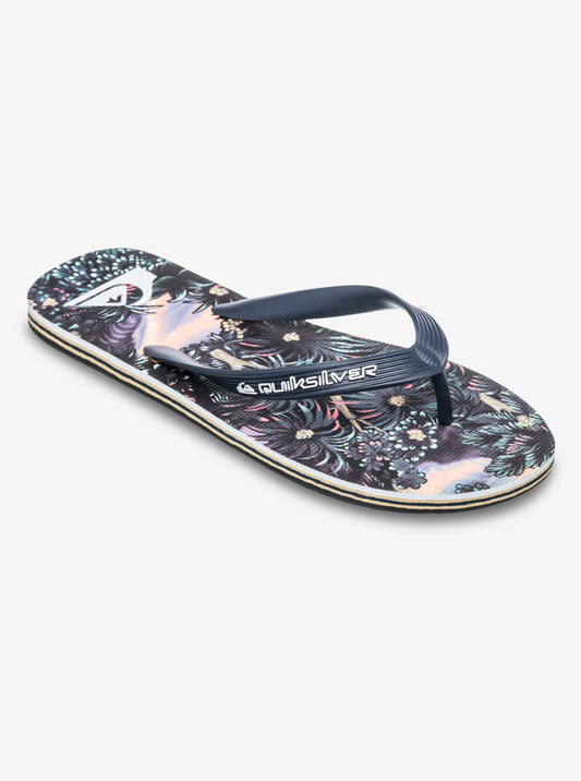 Mens Molokai Art 25 Flip Flops - Quiksilver Singapore