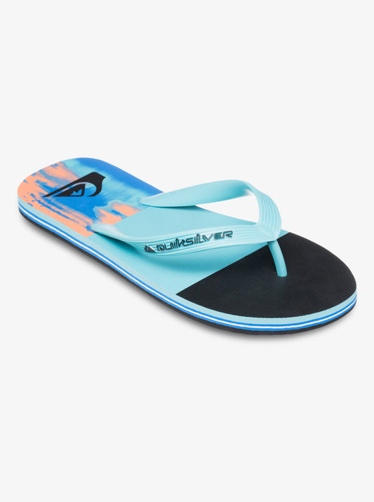 Mens Molokai Stripe 25 Flip Flops - Quiksilver Singapore