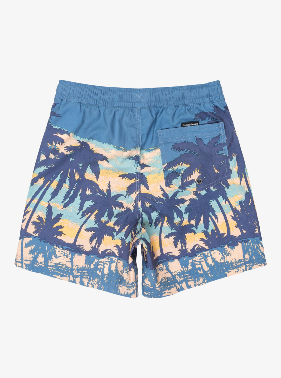 Boys Everyday Straight 14" Swim Shorts - Quiksilver Singapore