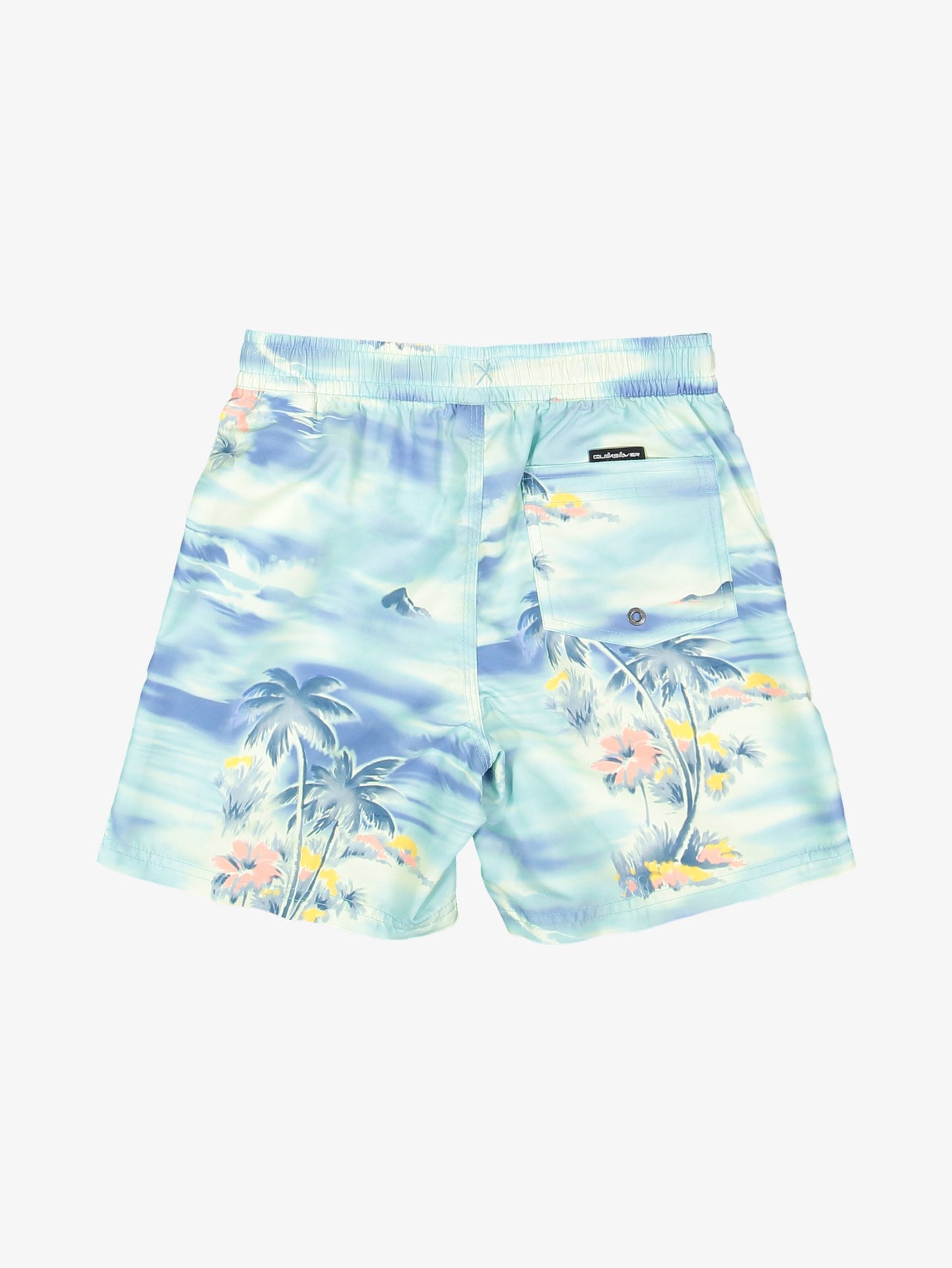 Boys 8-16 Everyday 14" Swim Shorts - Quiksilver Singapore