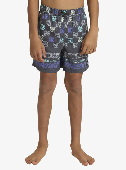 Boys 8-16 Everyday 14" Swim Shorts - Quiksilver Singapore