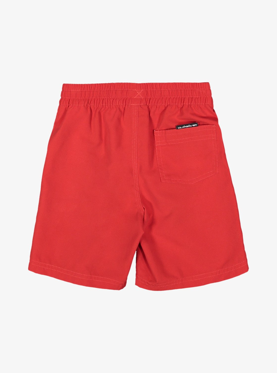 Boys Everyday Vert Volley 13" Swim Shorts - Quiksilver Singapore