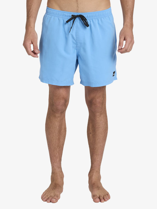 Mens Everyday Surfwash 17" Swim Shorts - Quiksilver Singapore