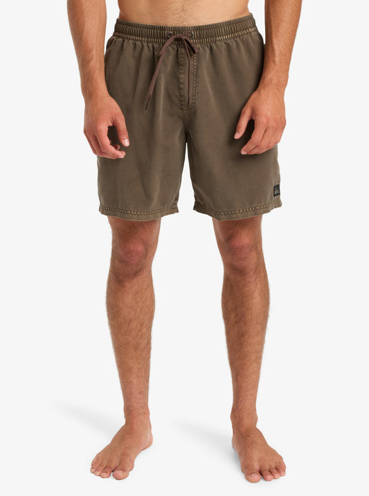 Mens Everyday Surfwash 17" Swim Shorts - Quiksilver Singapore