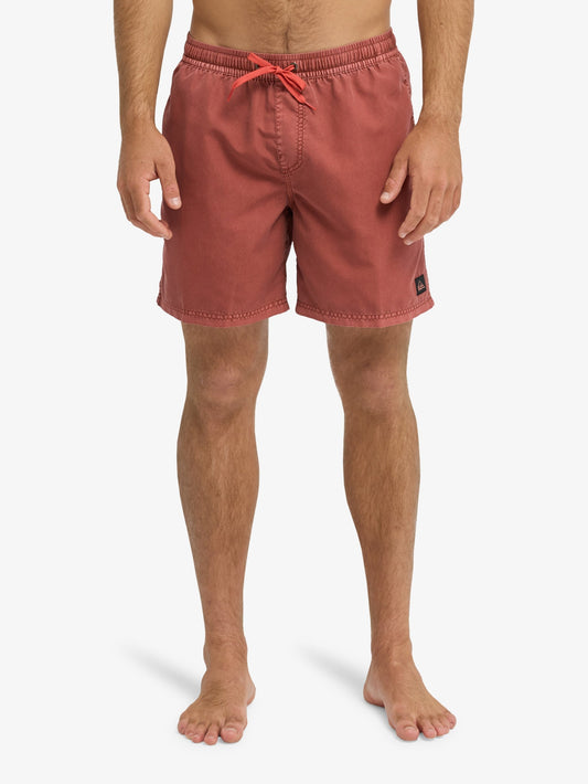 Mens Everyday Surfwash 17" Swim Shorts - Quiksilver Singapore