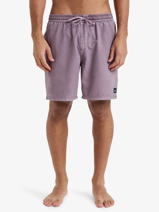 Mens Everyday Surfwash 17" Swim Shorts - Quiksilver Singapore