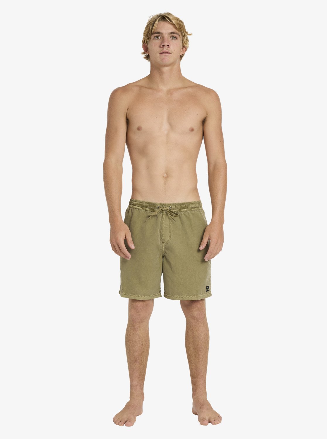 Mens Everyday Surfwash Volley Swim Shorts - Quiksilver Singapore
