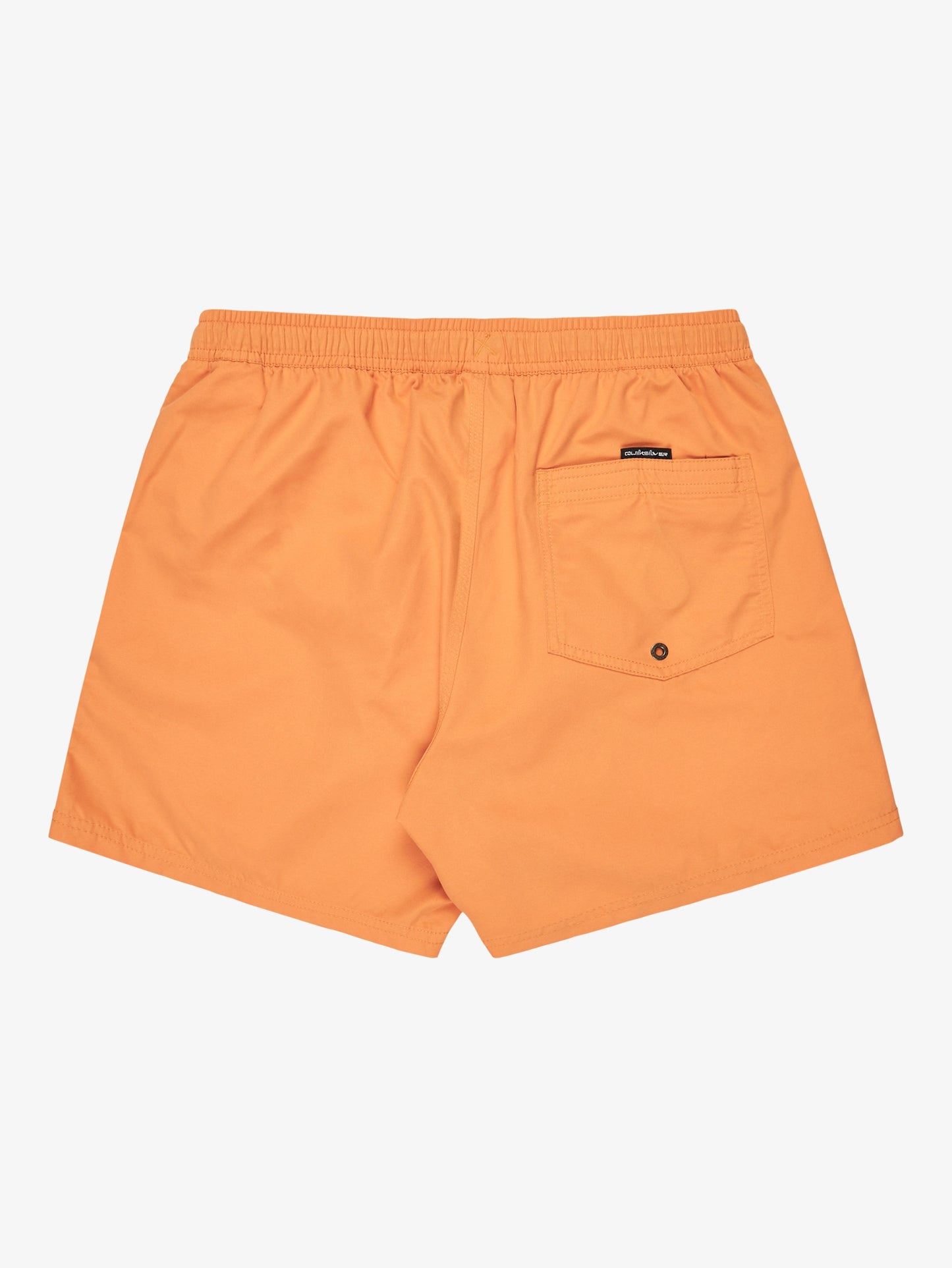 Mens Everyday Solid 15" Swim Shorts - Quiksilver Singapore