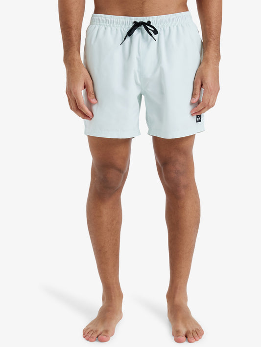 Mens Everyday Solid 15" Swim Shorts - Quiksilver Singapore