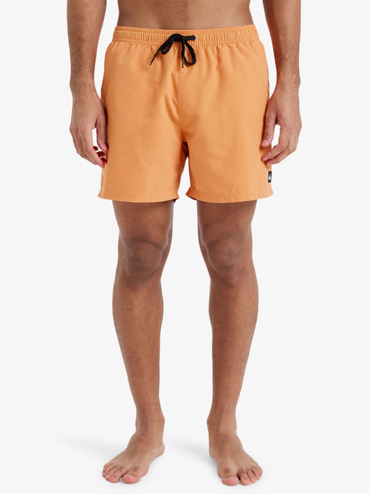 Mens Everyday Solid 15" Swim Shorts - Quiksilver Singapore