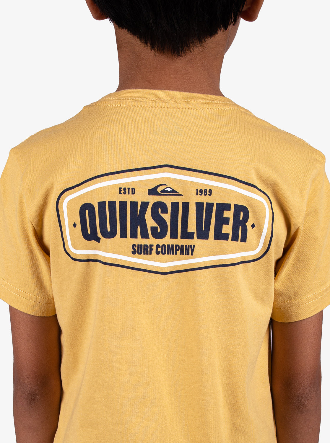 Boys 2-7 Coastal Crest T-Shirt - Quiksilver Singapore