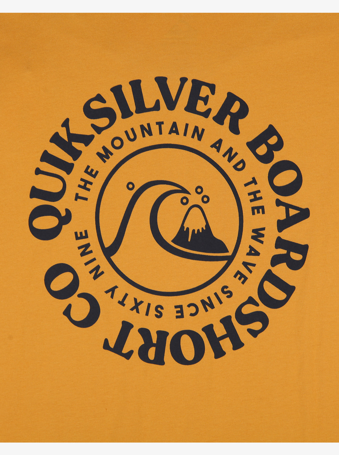 Mens Fine Line T-Shirt - Quiksilver Singapore