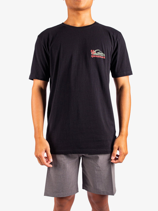 Mens Everyday Paradise T-Shirt - Quiksilver Singapore