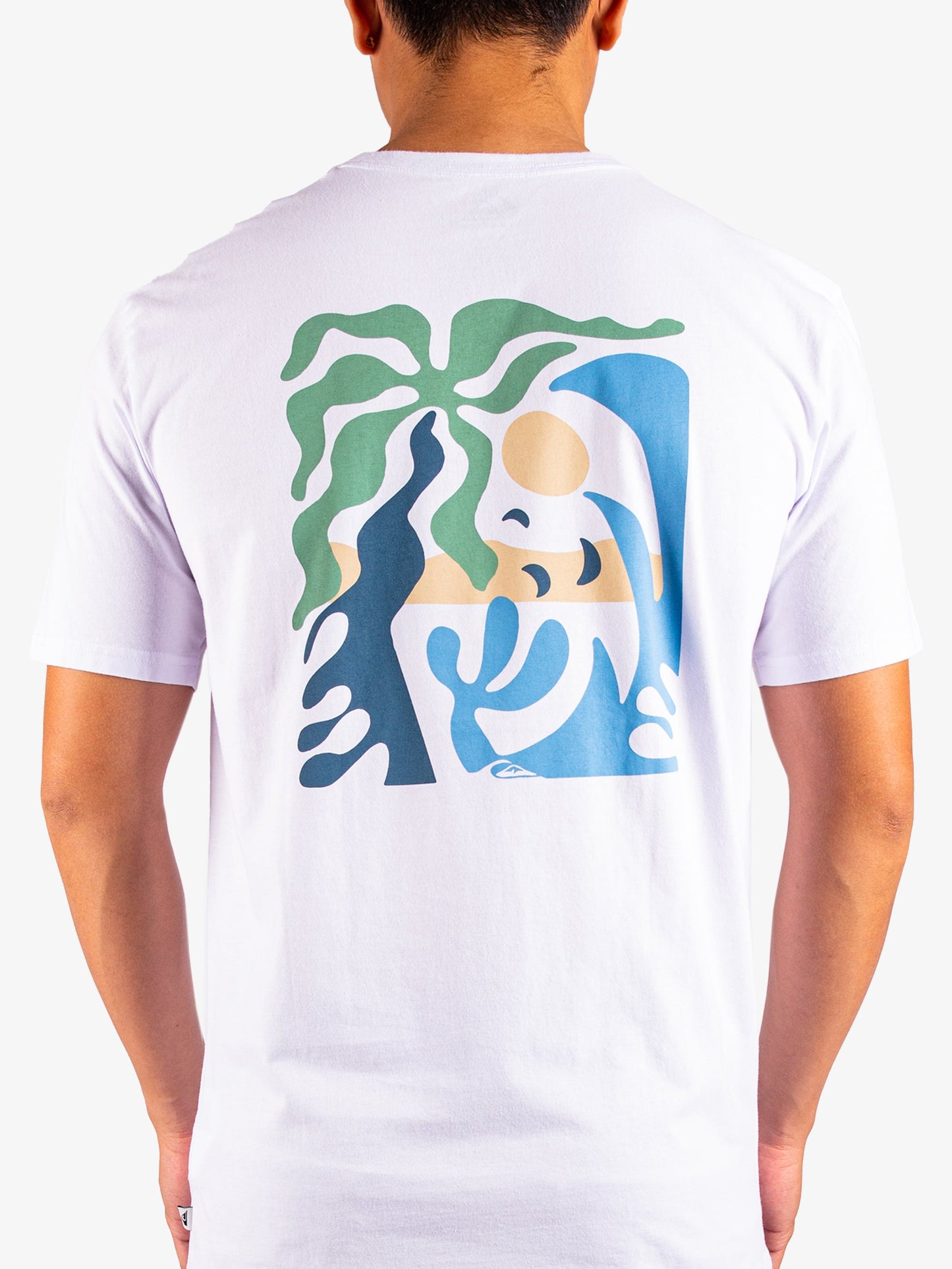 Mens Everyday Paradise T-Shirt - Quiksilver Singapore