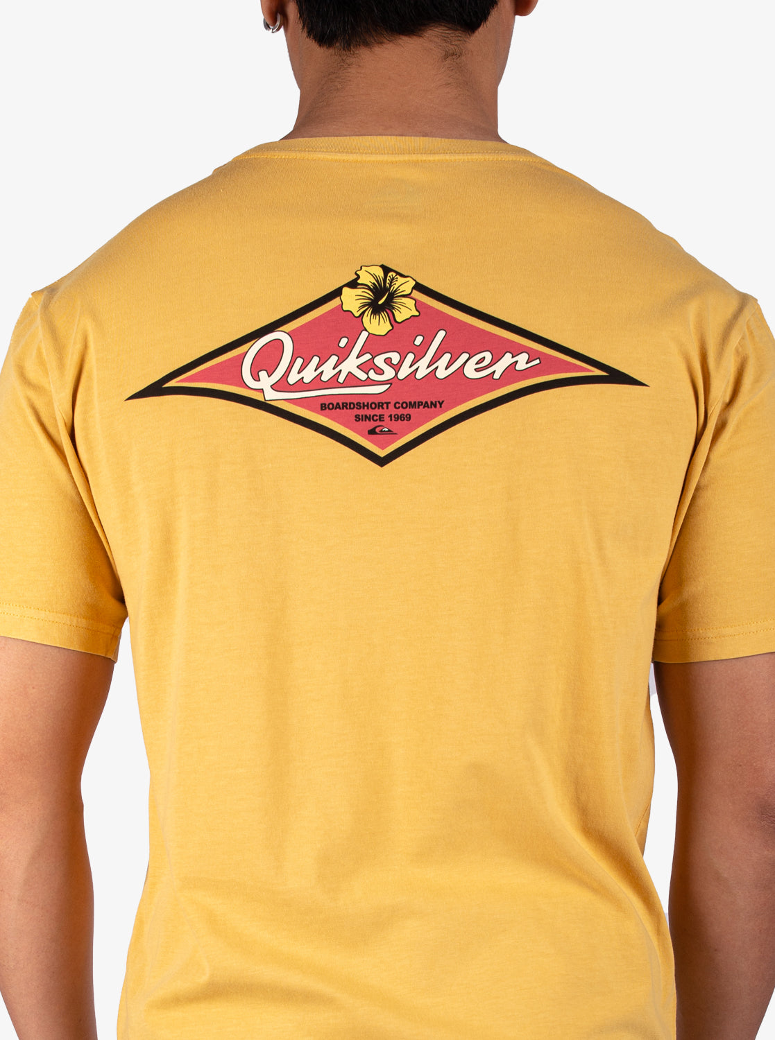 Mens Tropic Past Times T-Shirt - Quiksilver Singapore
