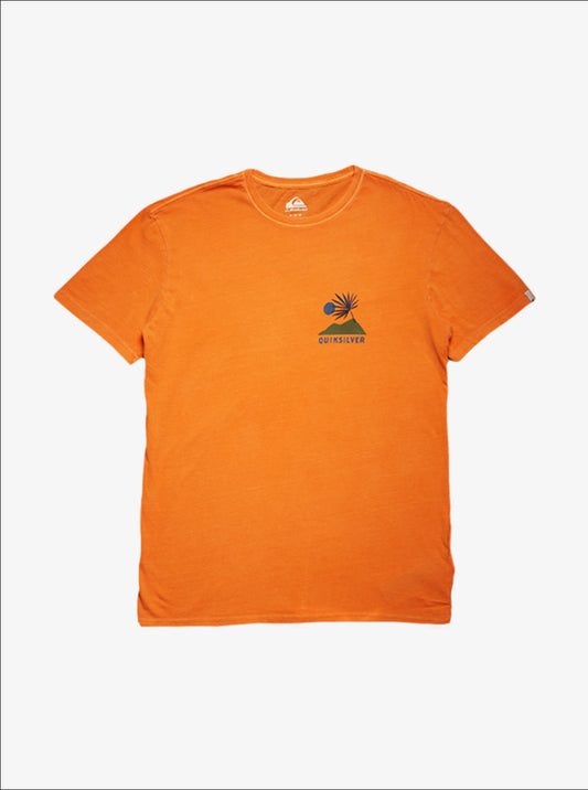 Mens New Tribe ID T-Shirt - Quiksilver Singapore 