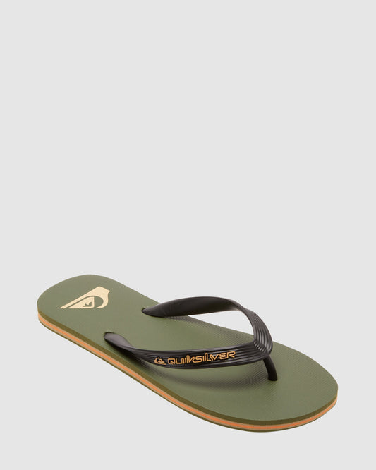 Mens Molokai Core Flip-Flops - Quiksilver Singapore 