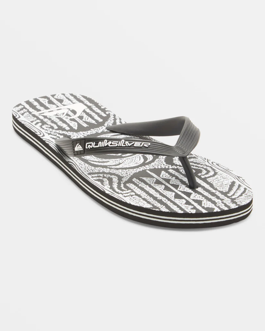 Mens Molokai Art II Flip-Flops - Quiksilver Singapore 