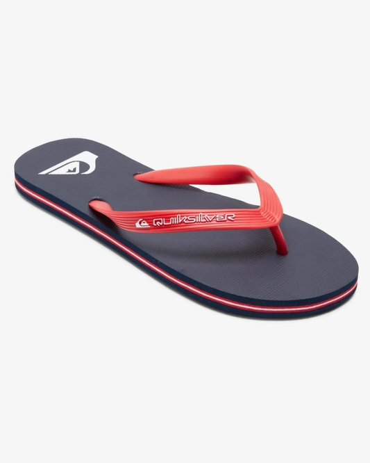 Mens Molokai Core Flip Flops - Quiksilver Singapore
