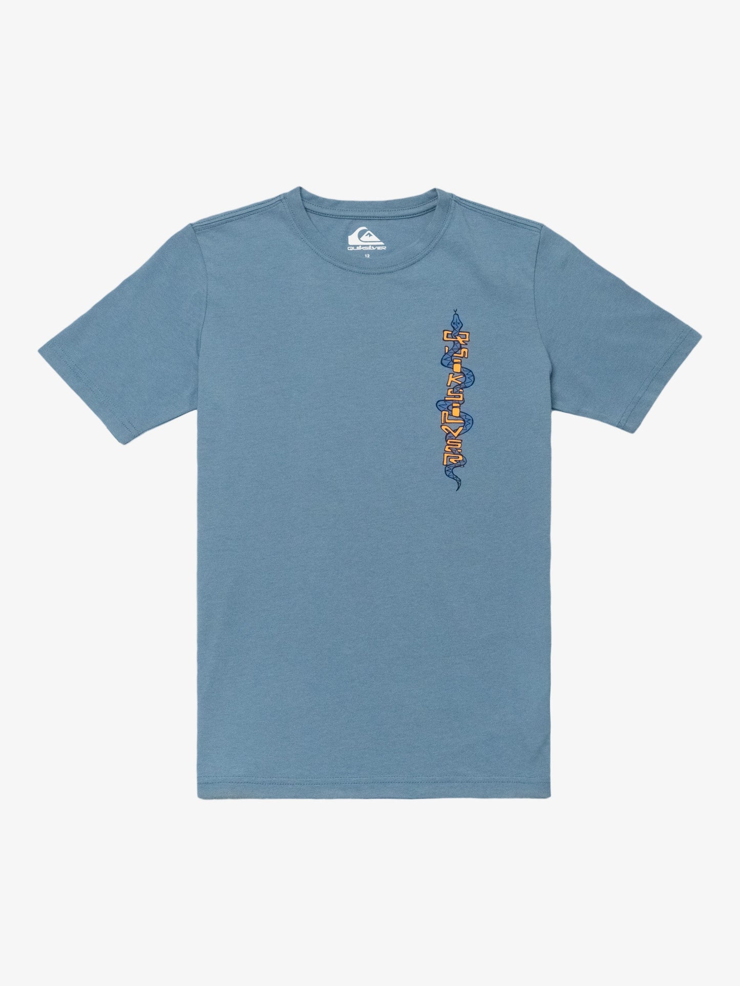 Boys Snake Tales T-Shirt - Quiksilver Singapore 