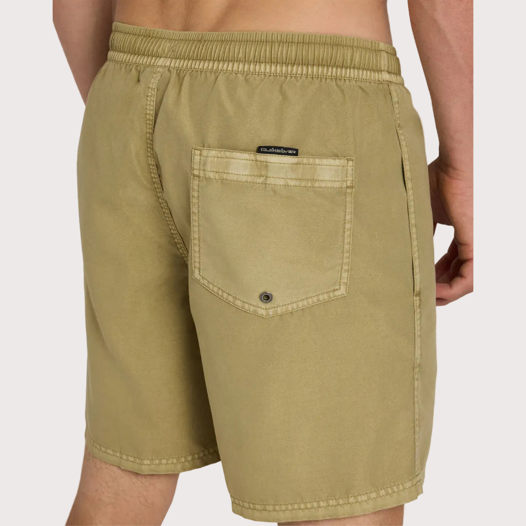 Mens Everyday Surfwash Volley 17Nb Shorts