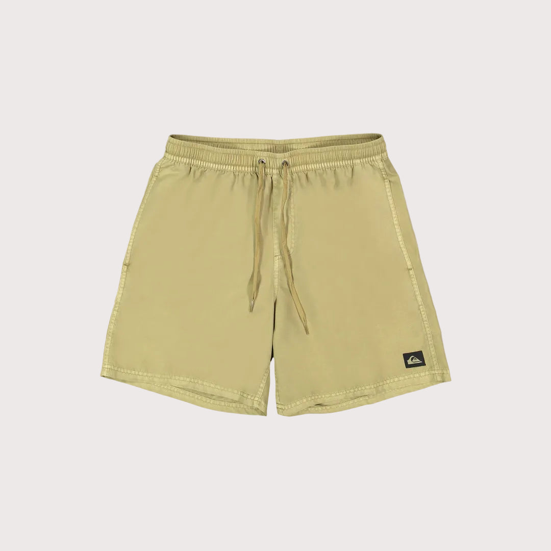 Mens Everyday Surfwash Volley 17Nb Shorts