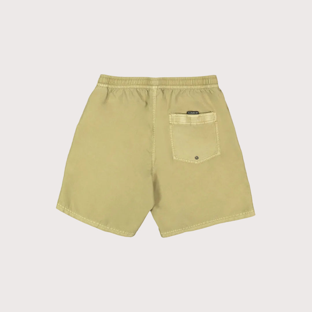 Mens Everyday Surfwash Volley 17Nb Shorts