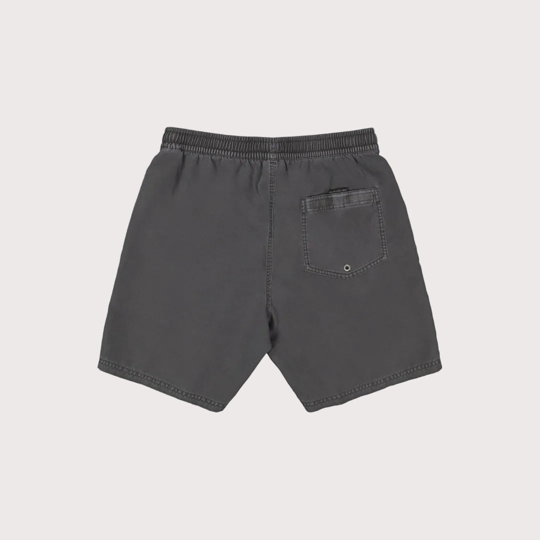 Mens Everyday Surfwash Volley 17Nb Shorts