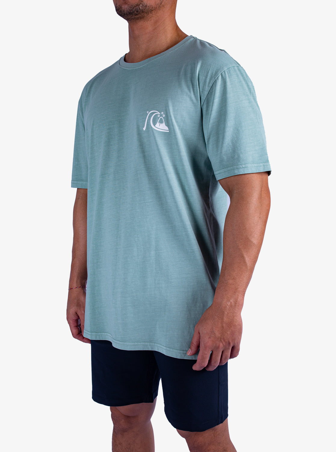 Mens Tail Spin T-Shirt - Quiksilver Singapore 