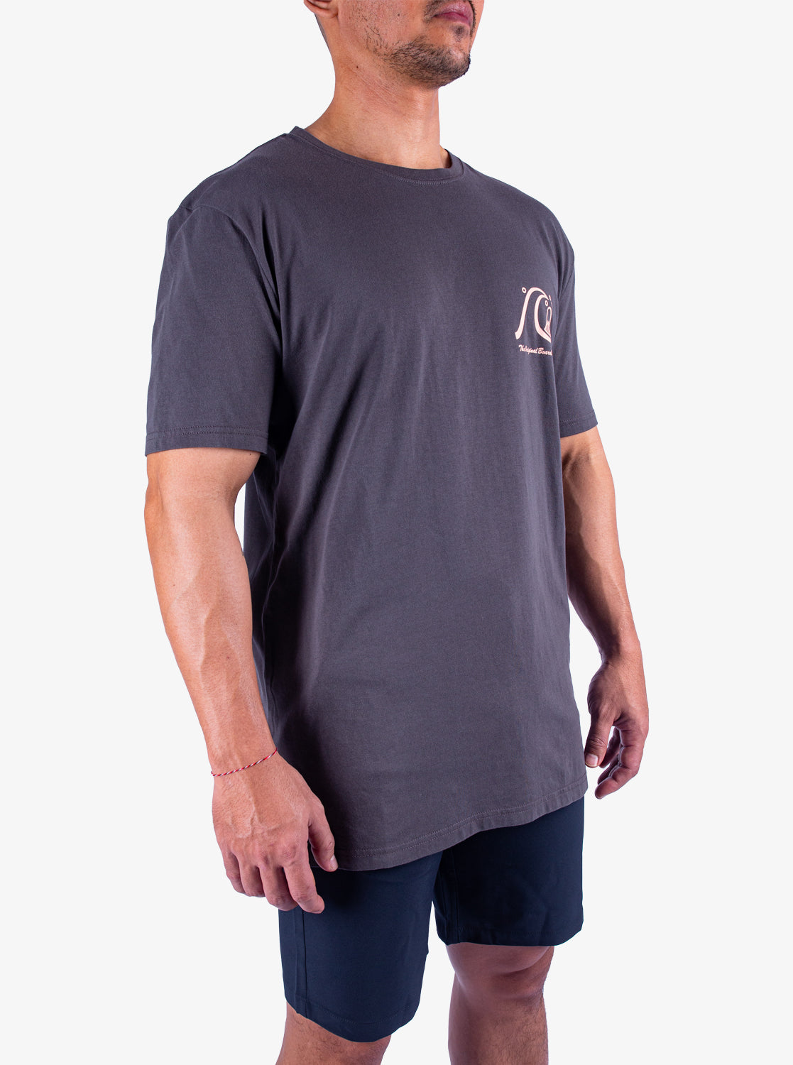 Mens Evo Original T-Shirt - Quiksilver Singapore 
