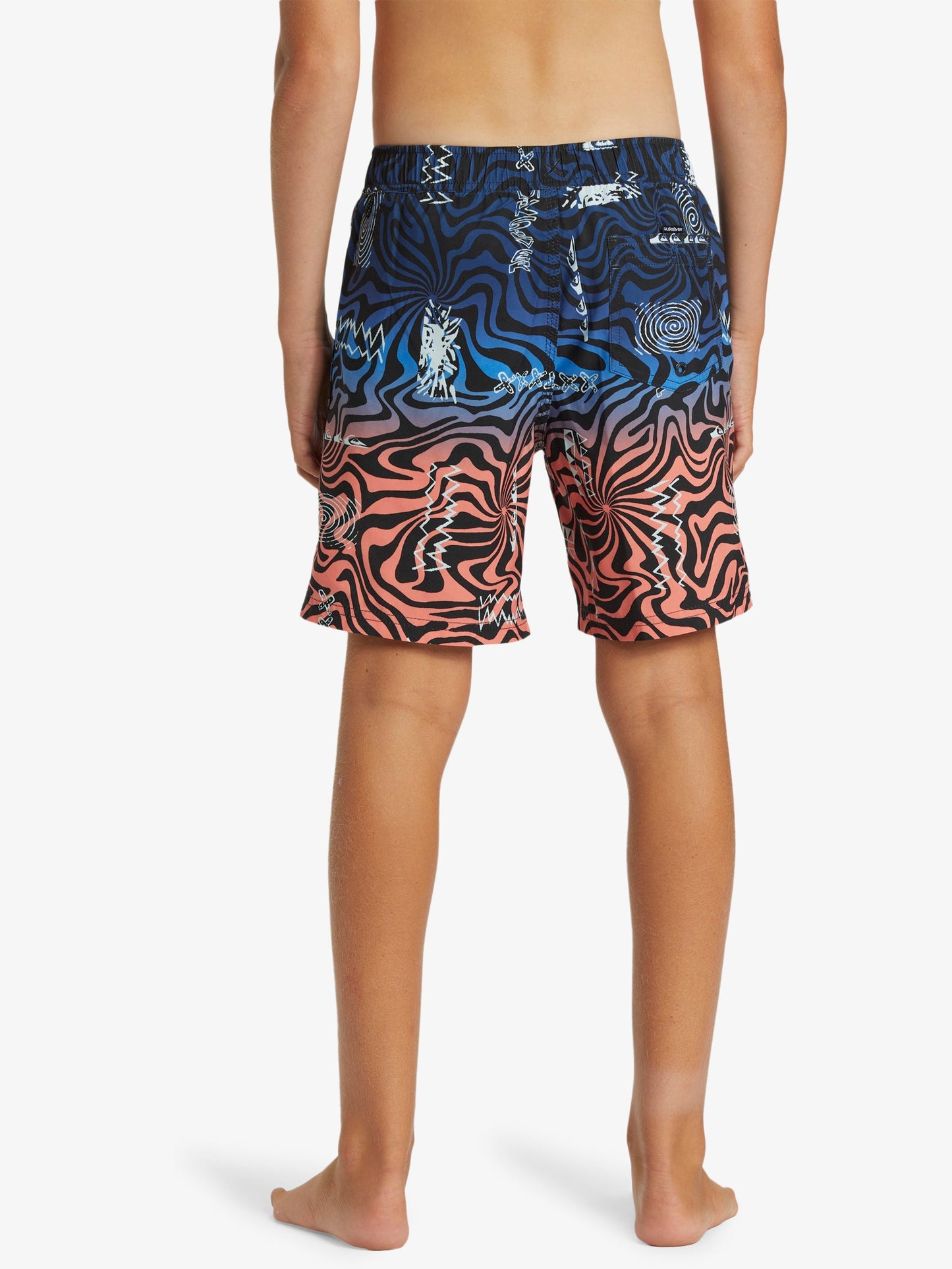 Boys 4-16 Everyday Heritage 15" Swim Shorts - Quiksilver Singapore 