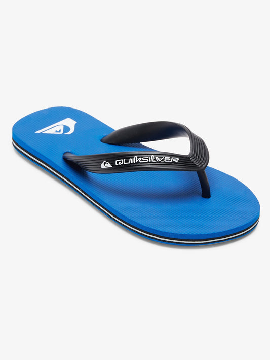 Boys Molokai Core Flip-Flops - Quiksilver Singapore 