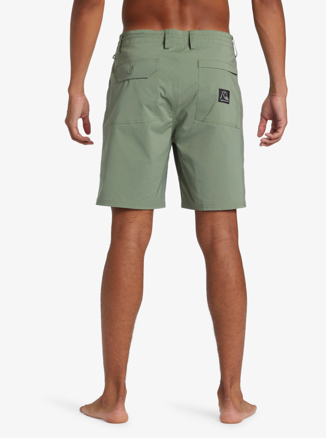 Mens DNA 18.5" Amphibian Boardshorts - Quiksilver Singapore 