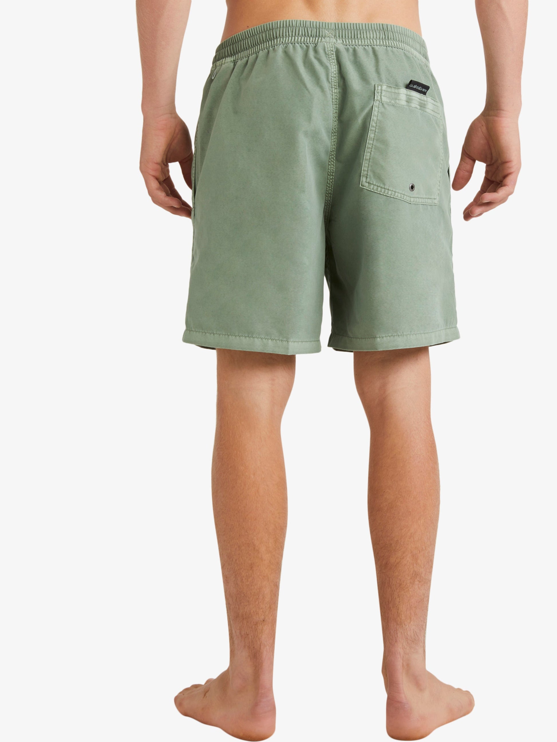 Mens Everyday Surfwash 17" Swim Shorts - Quiksilver Singapore 