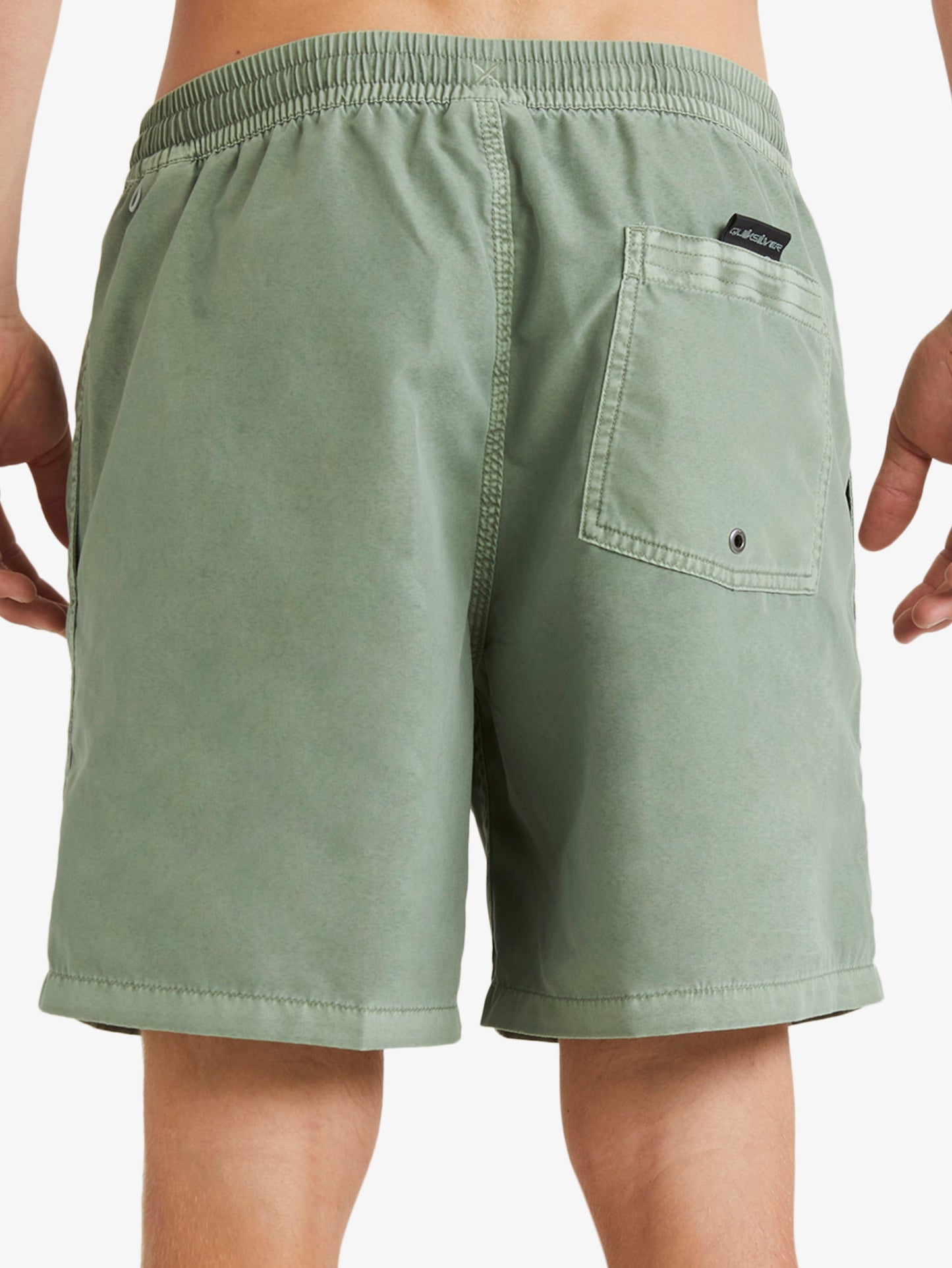 Mens Everyday Surfwash 17" Swim Shorts - Quiksilver Singapore 