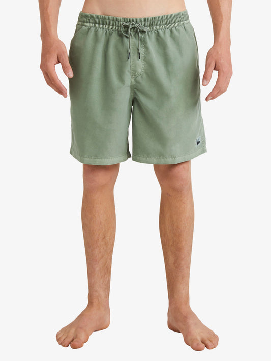 Mens Everyday Surfwash 17" Swim Shorts - Quiksilver Singapore 