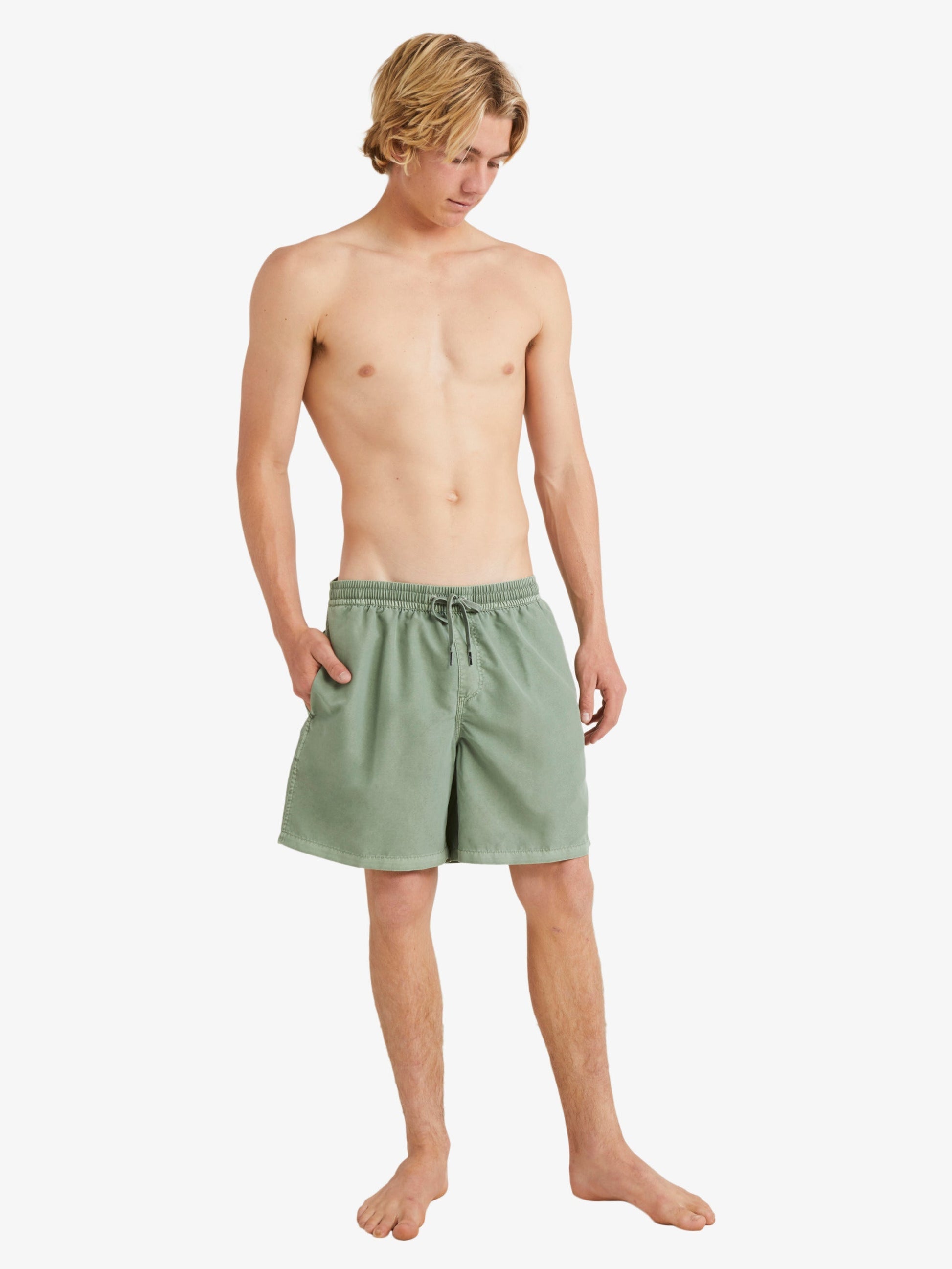 Mens Everyday Surfwash 17" Swim Shorts - Quiksilver Singapore 