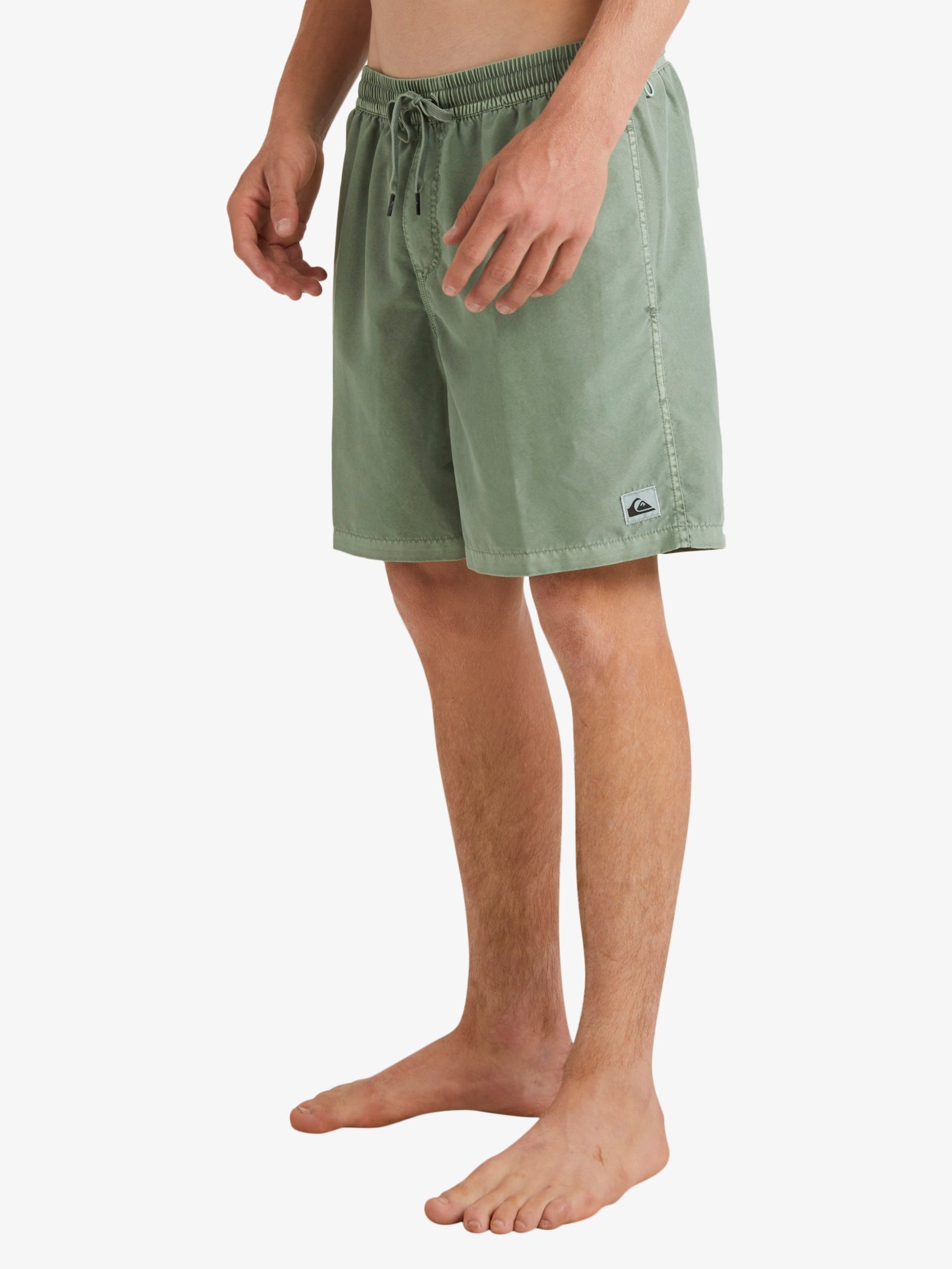 Mens Everyday Surfwash 17" Swim Shorts - Quiksilver Singapore 