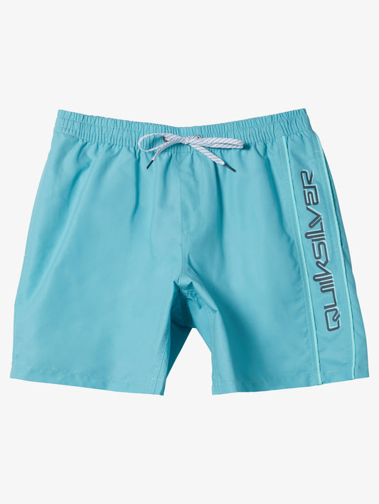 Mens Everyday Vert Volley 17" Swim Shorts - Quiksilver Singapore 