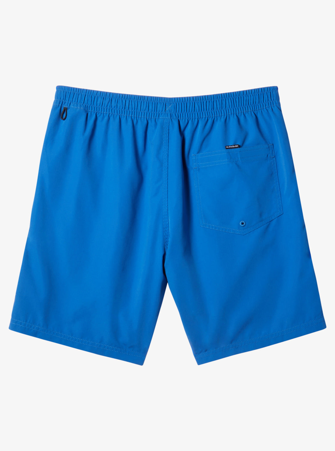 Mens Everyday Vert Volley 17" Swim Shorts - Quiksilver Singapore 