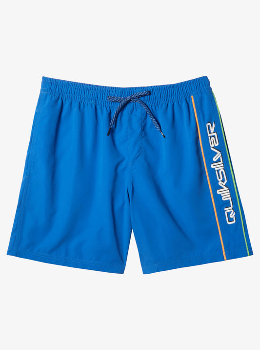 Mens Everyday Vert Volley 17" Swim Shorts - Quiksilver Singapore 