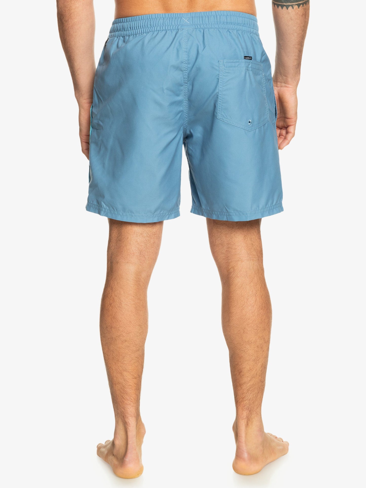 Mens Everyday Vert Volley 17" Swim Shorts - Quiksilver Singapore 