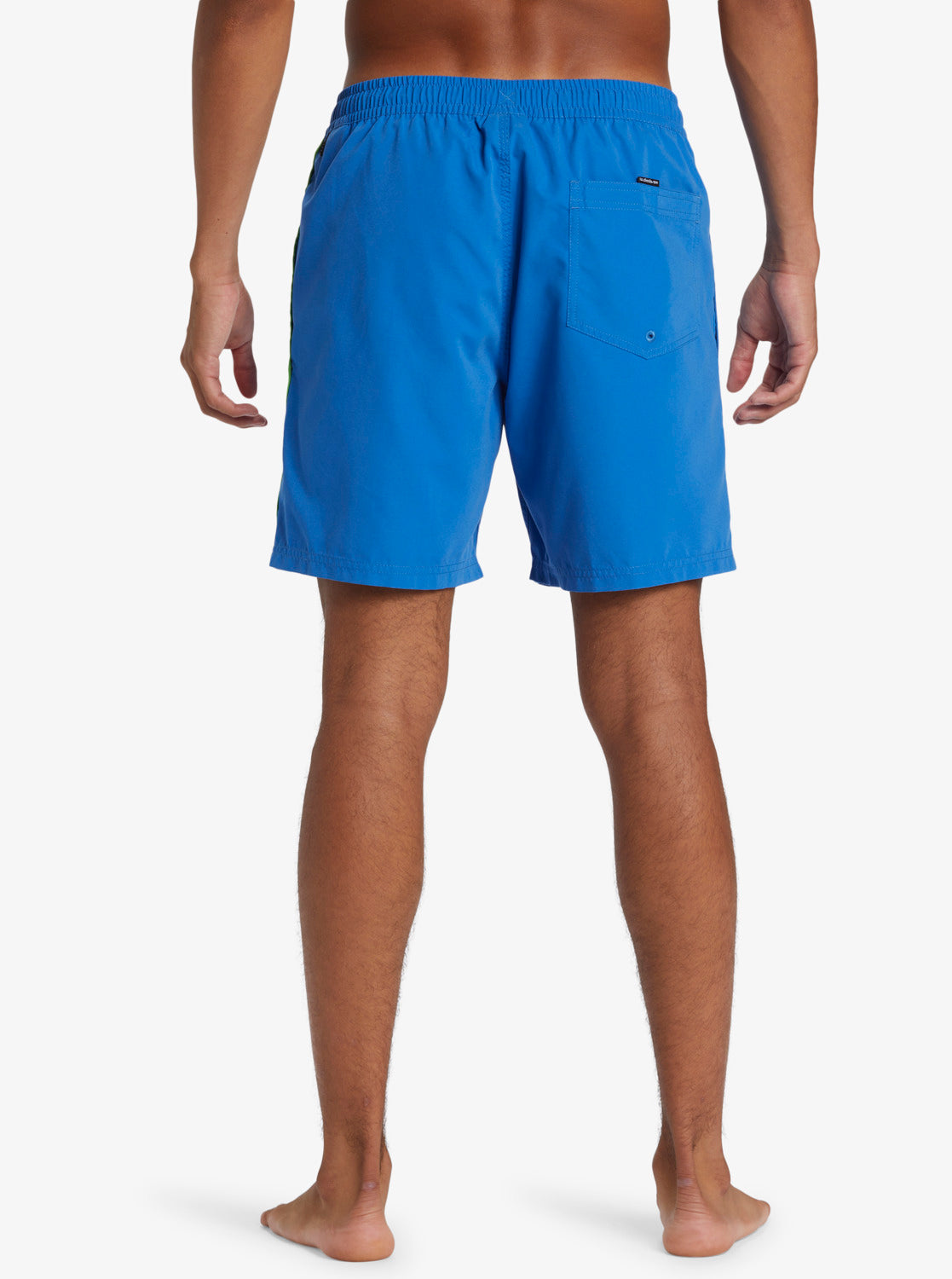 Mens Everyday Vert Volley 17" Swim Shorts - Quiksilver Singapore 