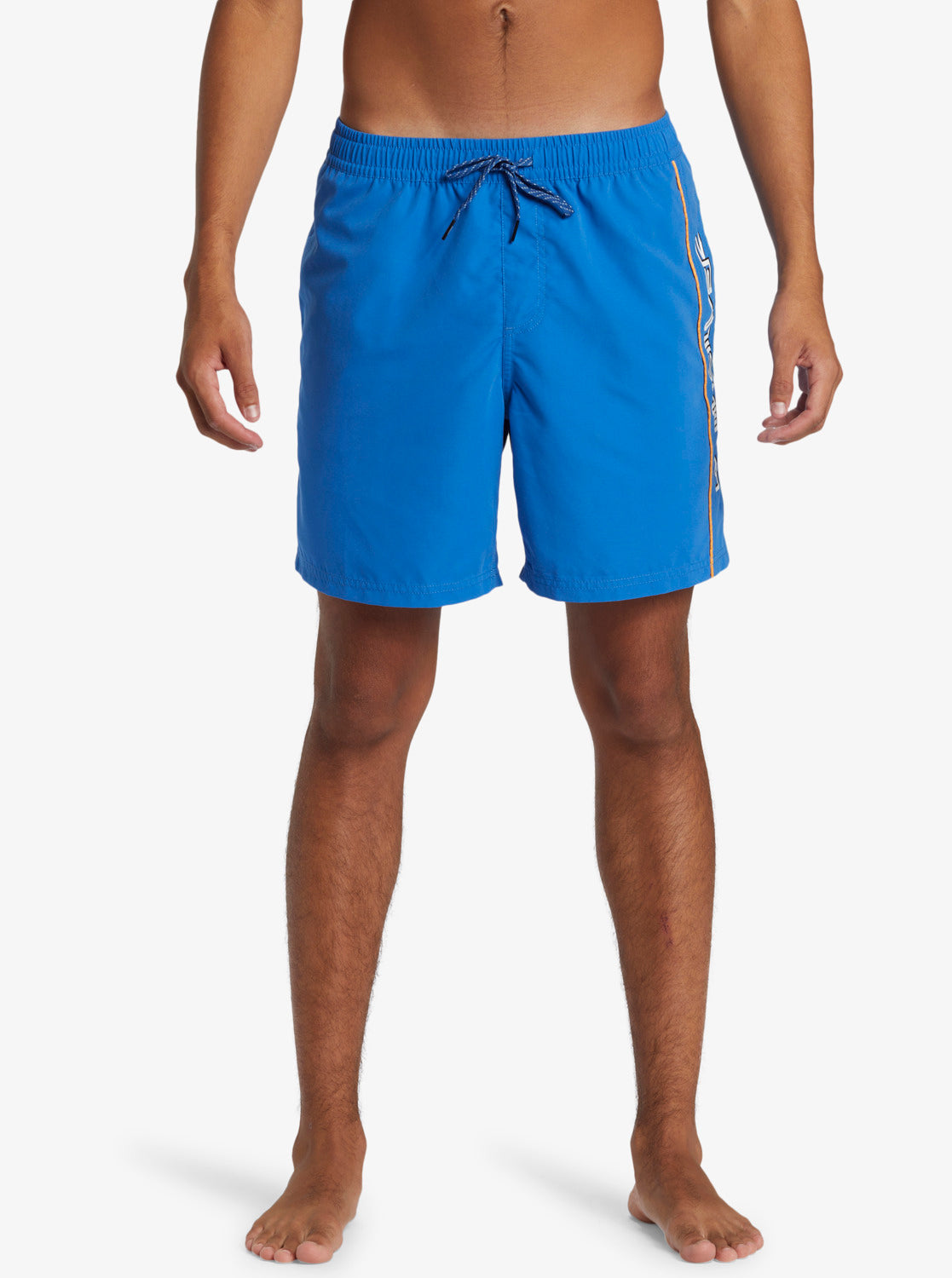 Mens Everyday Vert Volley 17" Swim Shorts - Quiksilver Singapore 