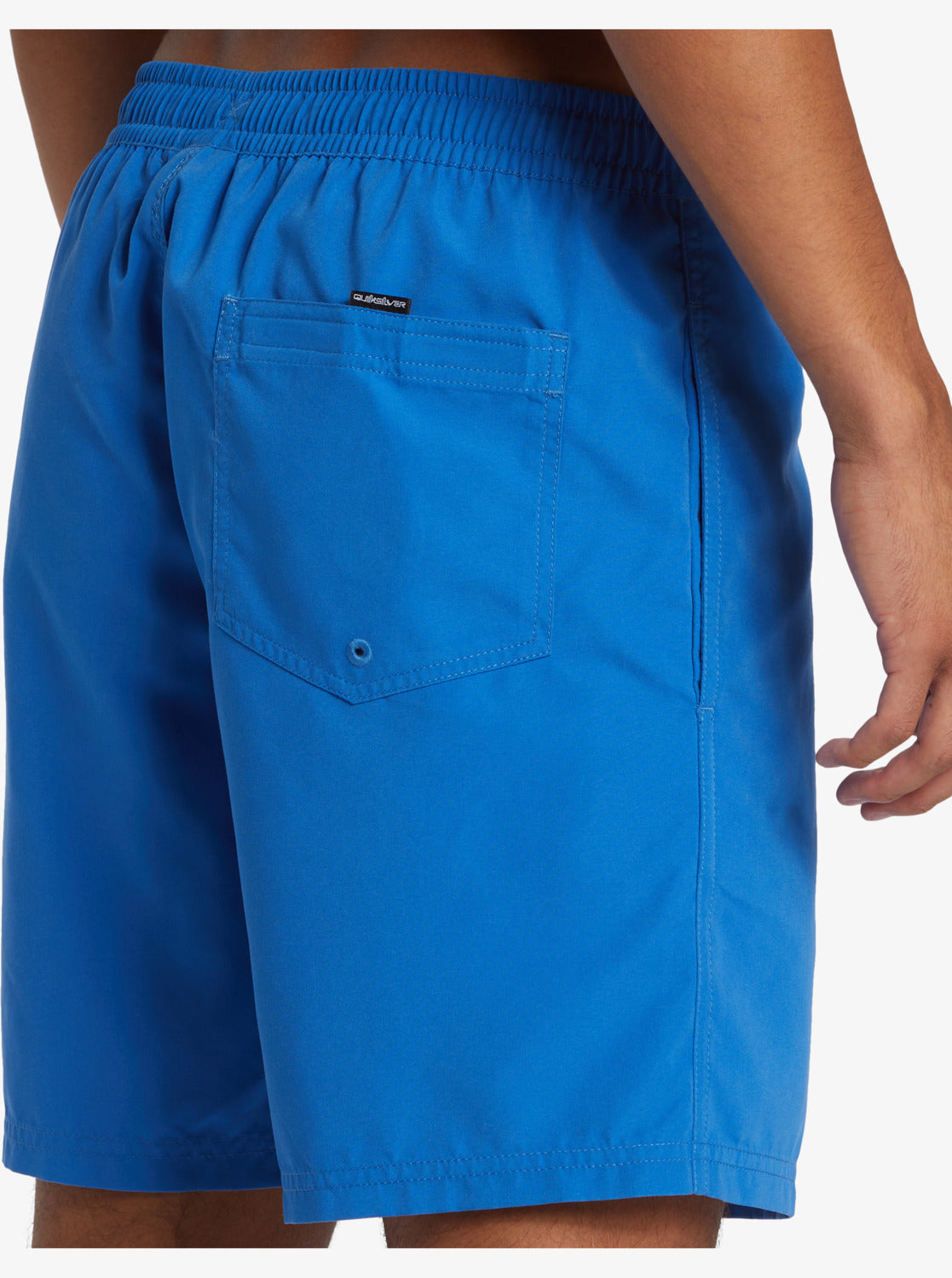 Mens Everyday Vert Volley 17" Swim Shorts - Quiksilver Singapore 