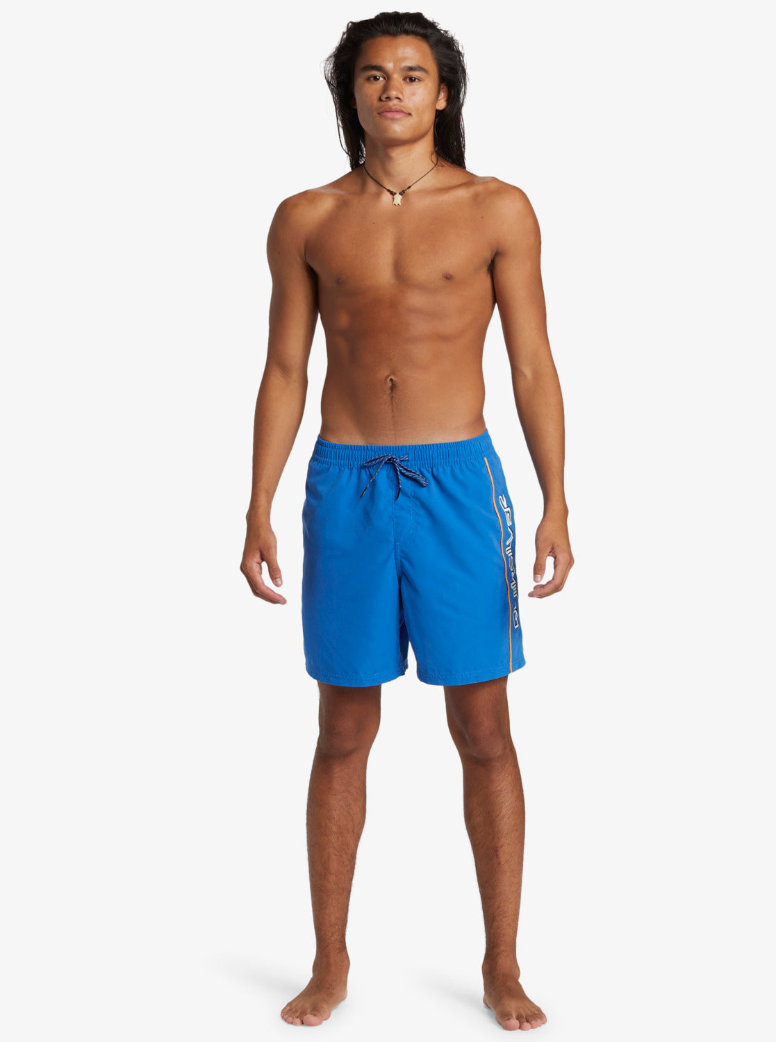 Mens Everyday Vert Volley 17" Swim Shorts - Quiksilver Singapore 