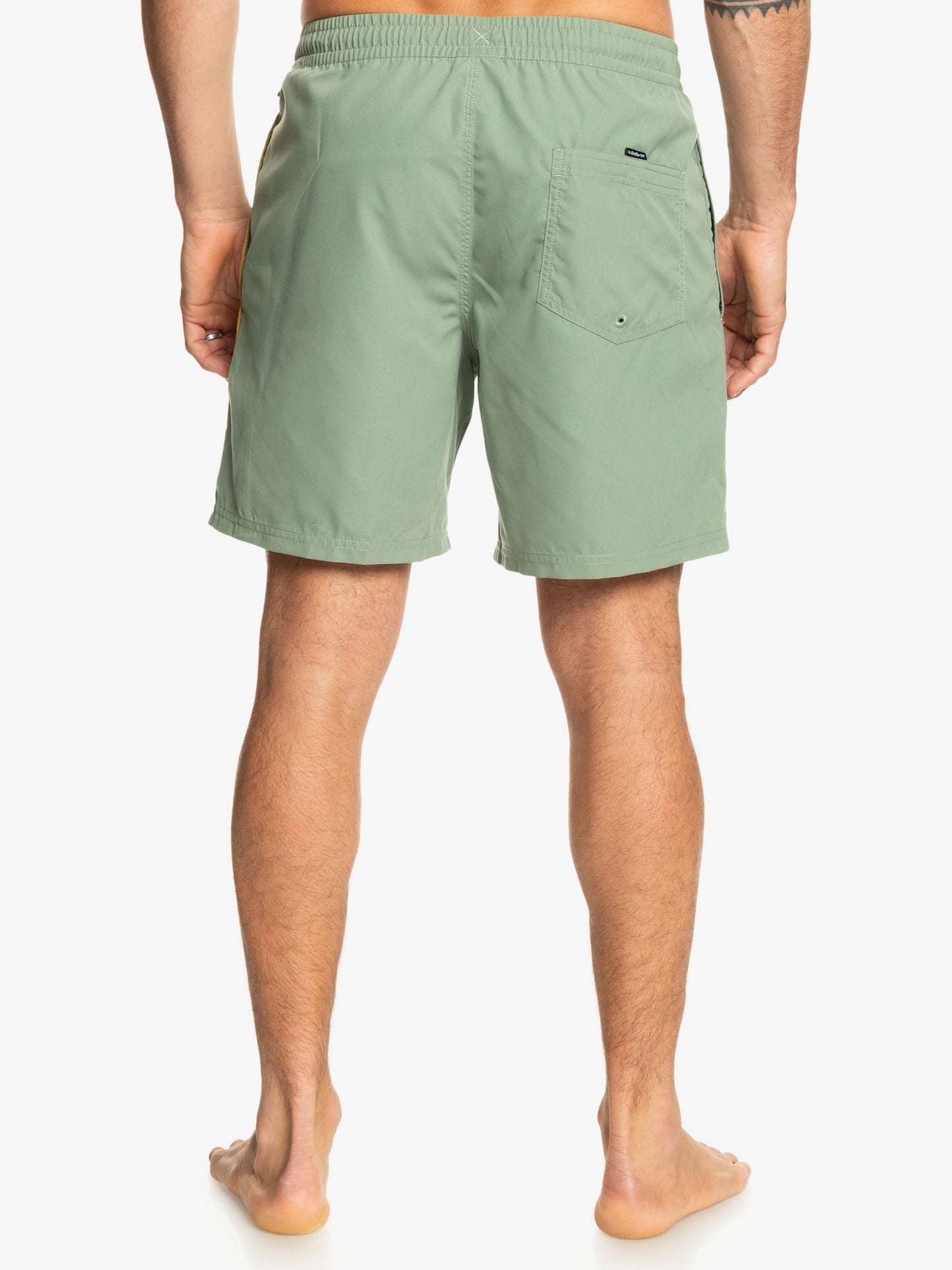 Mens Everyday Vert Volley 17" Swim Shorts - Quiksilver Singapore 