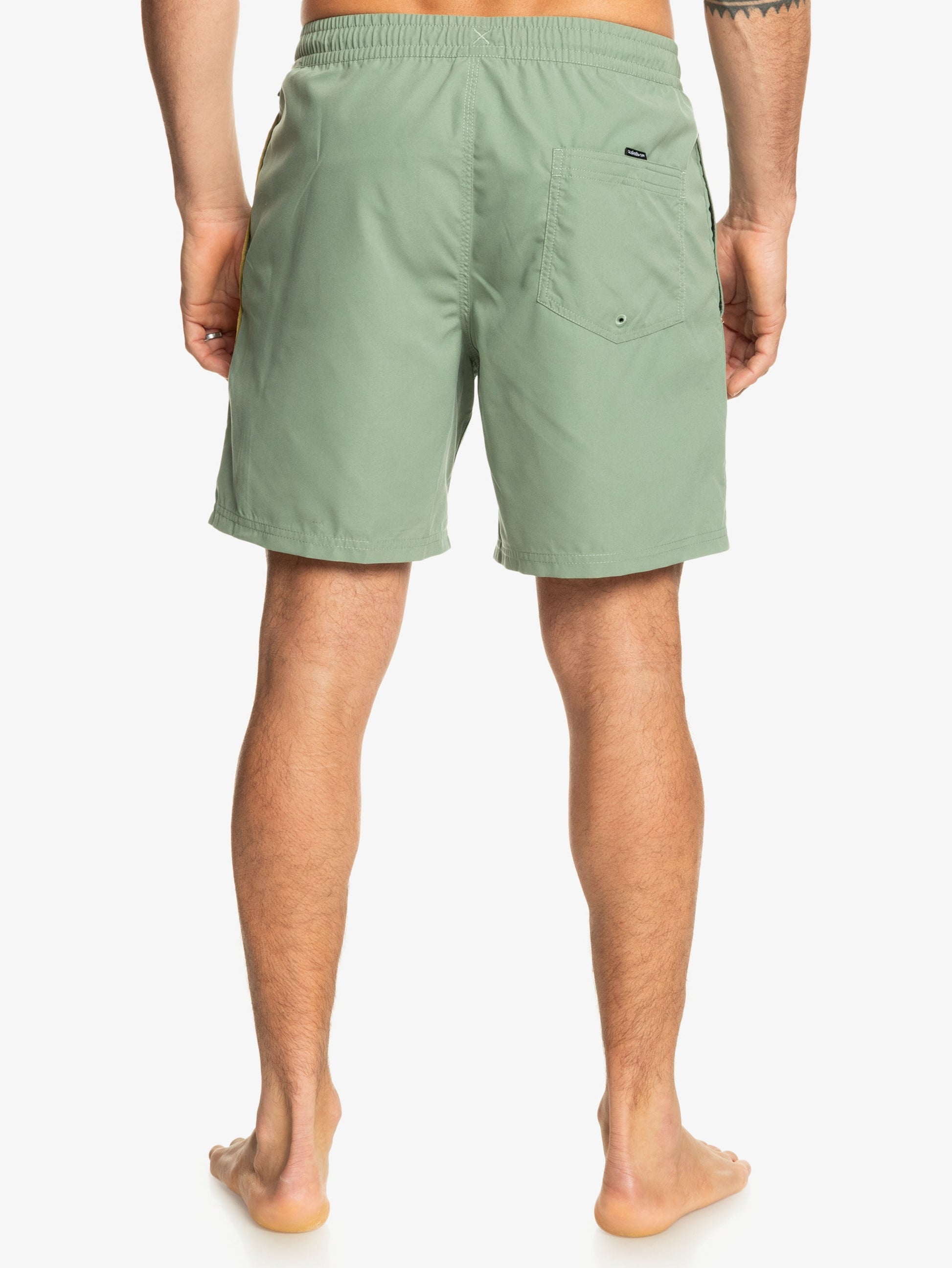 Mens Everyday Vert Volley 17" Swim Shorts - Quiksilver Singapore 